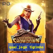 qual jogo tigrinho paga mais